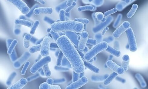 bacteriën in het menselijk lichaam