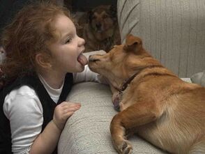 het kind kust de hond en raakt besmet met parasieten